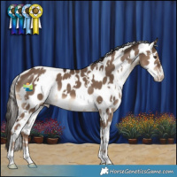 Horse Color:White Spotted Liver Red Dun Leopard 
