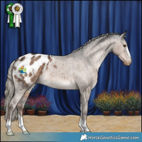 Horse Color:Liver Red Dun Mushroom Appaloosa Brindle