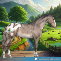 Horse Color:Liver Red Dun Mushroom Appaloosa Brindle