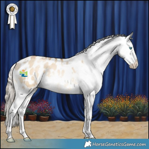 Horse Color:White Spotted Chocolate Palomino Pearl Dun Mushroom Appaloosa 