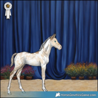 Horse Color:White Spotted Chocolate Palomino Pearl Dun Mushroom Appaloosa