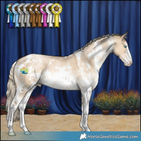 Horse Color:White Spotted Chocolate Palomino Pearl Dun Mushroom Sabino 