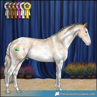 Horse Color:White Spotted Chocolate Palomino Pearl Dun Mushroom Sabino
