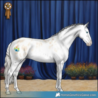 Horse Color:White Spotted Chocolate Palomino Pearl Dun Mushroom Sabino Appaloosa 
