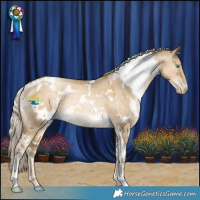 Horse Color:White Spotted Chocolate Palomino Pearl Dun Mushroom 