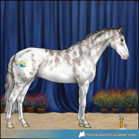 Horse Color:Liver Red Dun Mushroom Sabino Appaloosa