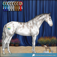Horse Color:Liver Red Dun Mushroom Sabino Varnish 