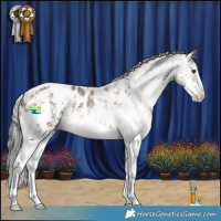Horse Color:Liver Red Dun Mushroom Sabino Appaloosa 