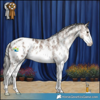 Horse Color:Liver Red Dun Mushroom Sabino Appaloosa