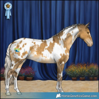 Horse Color:White Spotted Chocolate Palomino Dun Mushroom Varnish 