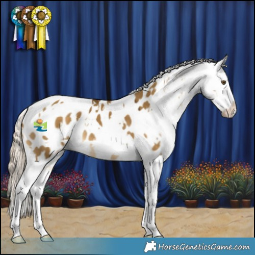 Horse Color:White Spotted Chocolate Palomino Dun Mushroom Appaloosa 