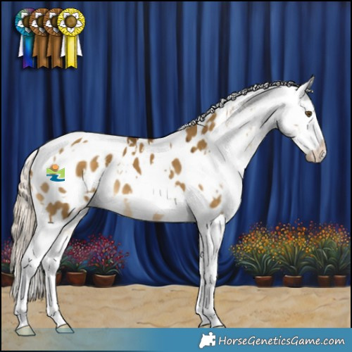 Horse Color:White Spotted Chocolate Palomino Dun Mushroom Blanket 
