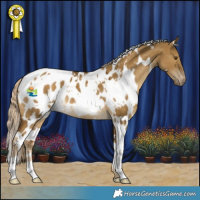 Horse Color:White Spotted Chocolate Palomino Dun Mushroom Appaloosa 