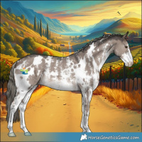 Horse Color:White Spotted Liver Red Dun Mushroom Sabino 