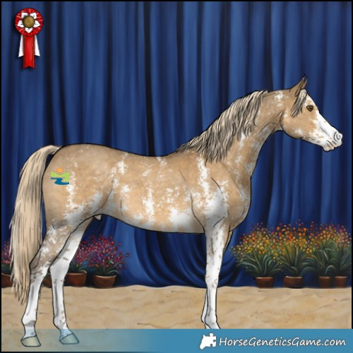 Horse Color:Chocolate Palomino Dun Mushroom Sabino 