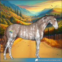 Horse Color:Liver Red Dun Sabino Rabicano