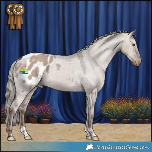 Horse Color:Liver Red Dun Mushroom Appaloosa 