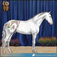 Horse Color:Liver Red Dun Mushroom Appaloosa 