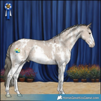 Horse Color:White Spotted Liver Red Dun Mushroom Sabino