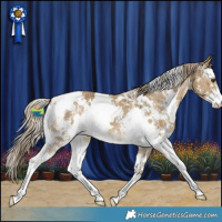 Horse Color:White Spotted Chocolate Palomino Dun Sabino 