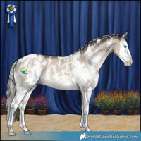 Horse Color:White Spotted Liver Red Dun Mushroom Sabino Splash 