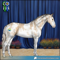 Horse Color:White Spotted Chocolate Palomino Dun Mushroom Sabino