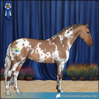 Horse Color:White Spotted Silver Bay Dun 