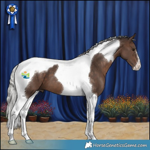 Horse Color:Silver Brown Tobiano 