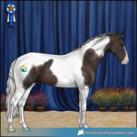 Horse Color:Silver Brown Tobiano 