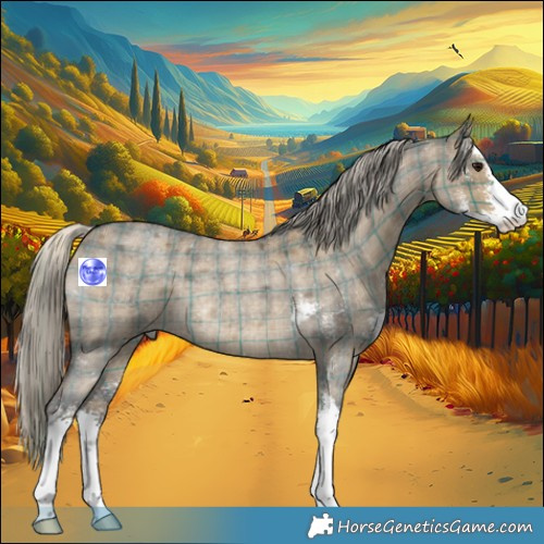 Horse Color:Plaid  Silver Smoky Grullo Roan Sabino 