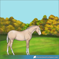 Horse Color:Silver Buckskin Pearl 