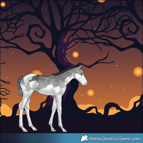 Horse Color:Black Splash Tobiano 