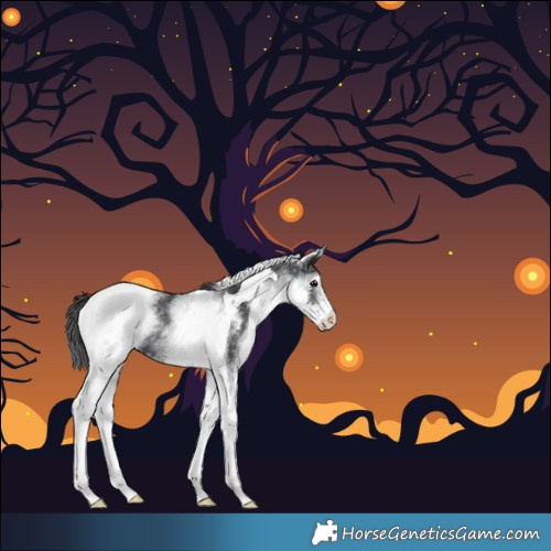 Horse Color:White Spotted Black Tobiano Rabicano 