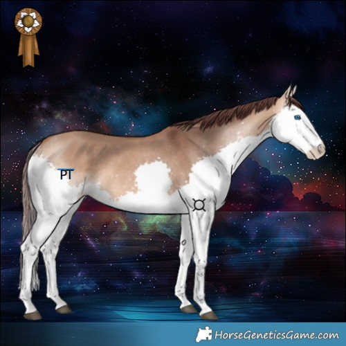 Horse Color:Chocolate Bay Dun Splash