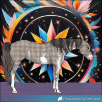 Horse Color:Plaid  Grullo Sabino 