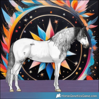 Horse Color:Black Sabino Tobiano Frame