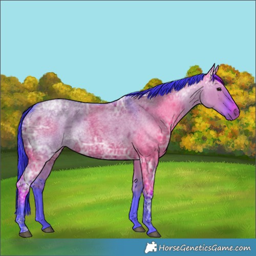 Horse Color:Watercolor Smoky Grullo Ice Roan Rabicano 