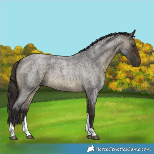 Horse Color:Buckskin Roan Tobiano 