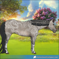 Horse Color:Brown Ice Dun Tobiano 