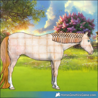 Horse Color:Plaid  Buckskin Ice Pearl Sabino 