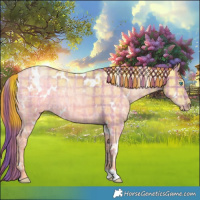 Horse Color:Plaid  White Spotted Buckskin Ice Pearl 