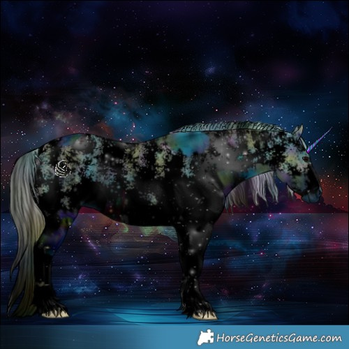 Horse Color:ERROR: UNKNOWN ANOMALY and ERROR: UNKNOWN ANOMALY