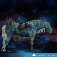 Horse Color:ERROR: UNKNOWN ANOMALY and ERROR: UNKNOWN ANOMALY