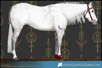 Horse Color:Gray Bay Dun Sabino Near Leopard 