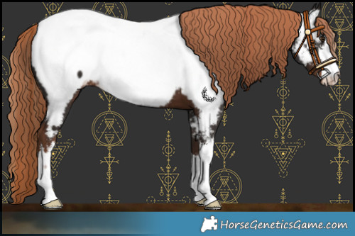 Horse Color:White Spotted Liver Chestnut Near Fewspot 