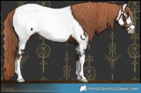 Horse Color:White Spotted Liver Chestnut Near Fewspot 