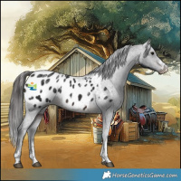 Horse Color:Powder White Brown Blanket