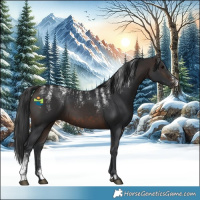 Horse Color:Powder White Brown 