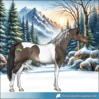 Horse Color:Brown Dun Tobiano 