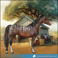 Horse Color:Powder White Brown Varnish 